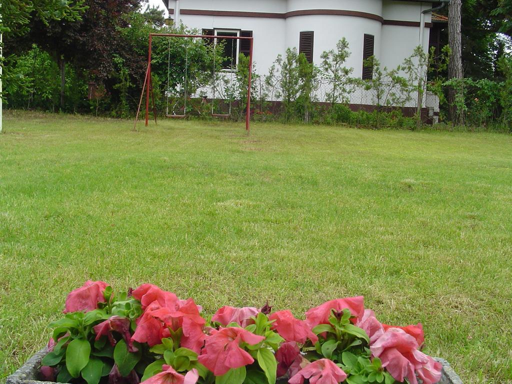 Vila Regina ปาลิช ห้อง รูปภาพ